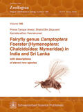 Anwar / Zeya / Veenakumari |  Fairyfly genus Camptoptera Foerster (Hymenoptera: Chalcidoidea: Mymaridae) in India and Sri Lanka, with descriptions of eleven new species | Buch |  Sack Fachmedien
