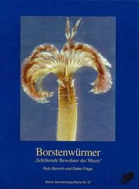Barnich / Fiege |  Borstenwürmer | Buch |  Sack Fachmedien