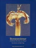 Barnich / Fiege |  Borstenwürmer | Buch |  Sack Fachmedien