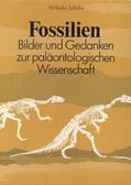 Schäfer |  Fossilien | Buch |  Sack Fachmedien