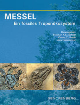 Schaal / Smith / Habersetzer | MESSEL - Ein fossiles Tropenökosystem | Buch | 978-3-510-61410-3 | sack.de