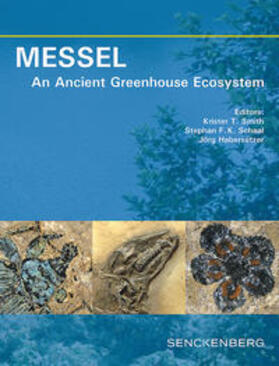 Smith / Schaal / Habersetzer | MESSEL - An Ancient Greenhouse Ecosystem | Buch | 978-3-510-61411-0 | sack.de