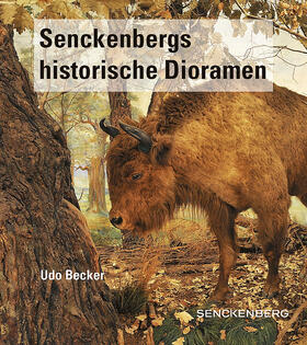 Becker / Scheersoi | Senckenbergs historische Dioramen | Buch | 978-3-510-61417-2 | sack.de