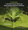 Hemp / Heller |  A Field Guide to the Bushcrickets, Wetas and Raspy Crickets of Tanzania and Kenya | Buch |  Sack Fachmedien