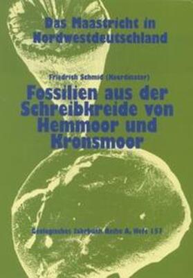 Schmid | Die Maastricht-Stufe in NW-Deutschland, Teil 11 | Buch | sack.de