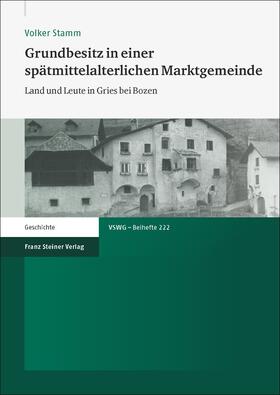 Stamm | Grundbesitz in einer spätmittelalterlichen Marktgemeinde | Buch | 978-3-515-10374-9 | sack.de