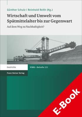 Schulz / Reith | Wirtschaft und Umwelt vom Spätmittelalter bis zur Gegenwart | E-Book | sack.de