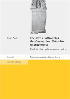 Amiri | Esclaves et affranchis des Germanies: Mémoire en fragments | Buch | 978-3-515-11088-4 | sack.de