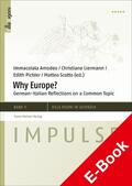 Amodeo / Liermann / Pichler |  Why Europe? | eBook | Sack Fachmedien