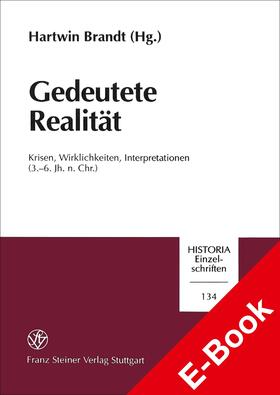 Brandt |  Gedeutete Realität | eBook | Sack Fachmedien