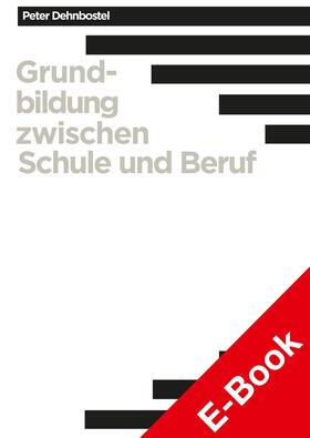 Dehnbostel | Grundbildung zwischen Schule und Beruf | E-Book | sack.de