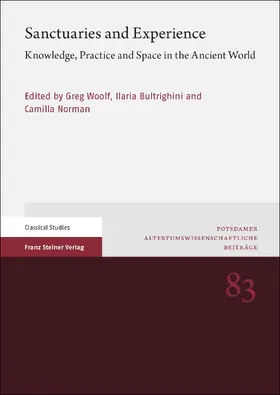 Woolf / Bultrighini / Norman | Sanctuaries and Experience | Buch | 978-3-515-13399-9 | sack.de