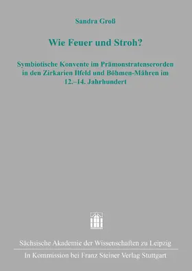 Groß |  Wie Feuer und Stroh? | eBook | Sack Fachmedien