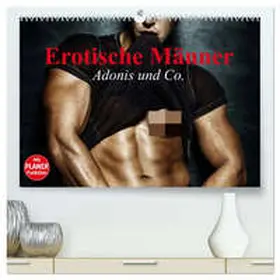 Stanzer / CALVENDO |  Erotische Männer. Adonis und Co. (hochwertiger Premium Wandkalender 2026 DIN A2 quer), Kunstdruck in Hochglanz | Sonstiges |  Sack Fachmedien