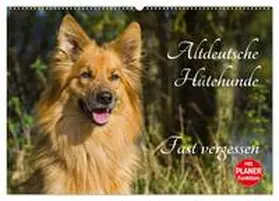 Starick / CALVENDO |  Altdeutsche Hütehunde - Fast vergessen (Wandkalender 2026 DIN A2 quer), CALVENDO Monatskalender | Sonstiges |  Sack Fachmedien