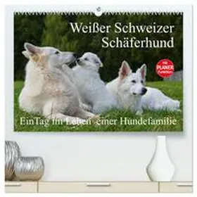 Starick / CALVENDO |  Weißer Schweizer Schäferhund - Ein Tag im Leben einer Hundefamilie (hochwertiger Premium Wandkalender 2026 DIN A2 quer), Kunstdruck in Hochglanz | Sonstiges |  Sack Fachmedien