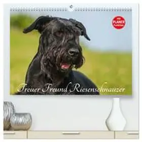 Starick / CALVENDO |  Treuer Freund Riesenschnauzer (hochwertiger Premium Wandkalender 2026 DIN A2 quer), Kunstdruck in Hochglanz | Sonstiges |  Sack Fachmedien