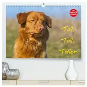 Starick / CALVENDO |  Toll, toll, Toller (hochwertiger Premium Wandkalender 2026 DIN A2 quer), Kunstdruck in Hochglanz | Sonstiges |  Sack Fachmedien