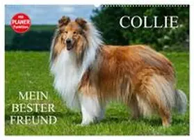 Starick / CALVENDO |  Collie - Mein bester Freund (Wandkalender 2026 DIN A2 quer), CALVENDO Monatskalender | Sonstiges |  Sack Fachmedien