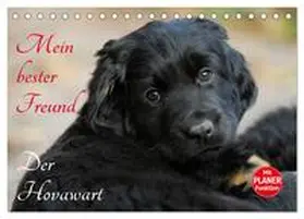 Starick / CALVENDO |  Mein bester Freund - Der Hovawart (Tischkalender 2026 DIN A5 quer), CALVENDO Monatskalender | Sonstiges |  Sack Fachmedien