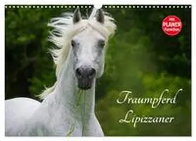 Starick / CALVENDO |  Traumpferd Lipizzaner (Wandkalender 2026 DIN A3 quer), CALVENDO Monatskalender | Sonstiges |  Sack Fachmedien