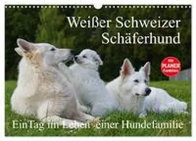 Starick / CALVENDO |  Weißer Schweizer Schäferhund - Ein Tag im Leben einer Hundefamilie (Wandkalender 2026 DIN A3 quer), CALVENDO Monatskalender | Sonstiges |  Sack Fachmedien