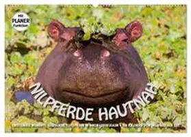 Gerlach GDT / CALVENDO |  Emotionale Momente: Nilpferde hautnah (Wandkalender 2026 DIN A2 quer), CALVENDO Monatskalender | Sonstiges |  Sack Fachmedien