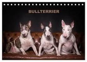 Schubert / CALVENDO |  Bullterrier (Tischkalender 2026 DIN A5 quer), CALVENDO Monatskalender | Sonstiges |  Sack Fachmedien