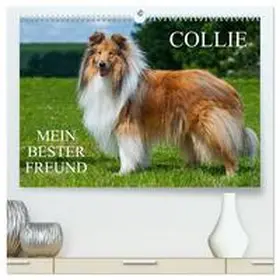Starick / CALVENDO |  Collie - Mein bester Freund (hochwertiger Premium Wandkalender 2026 DIN A2 quer), Kunstdruck in Hochglanz | Sonstiges |  Sack Fachmedien