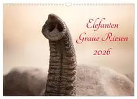 und Holger Karius / CALVENDO |  Elefanten - Graue Riesen (Wandkalender 2026 DIN A3 quer), CALVENDO Monatskalender | Sonstiges |  Sack Fachmedien