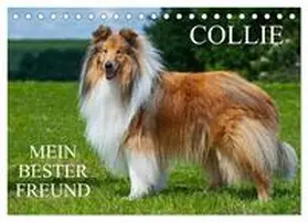 Starick / CALVENDO |  Collie - Mein bester Freund (Tischkalender 2026 DIN A5 quer), CALVENDO Monatskalender | Sonstiges |  Sack Fachmedien