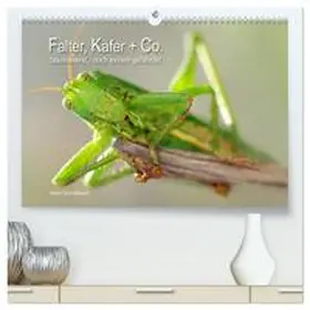 Schmidbauer / CALVENDO |  Falter, Käfer und Co.faszinierend, doch extrem gefährdet (hochwertiger Premium Wandkalender 2026 DIN A2 quer), Kunstdruck in Hochglanz | Sonstiges |  Sack Fachmedien