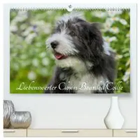 Starick / CALVENDO |  Liebenswerter Clown Bearded Collie (hochwertiger Premium Wandkalender 2026 DIN A2 quer), Kunstdruck in Hochglanz | Sonstiges |  Sack Fachmedien