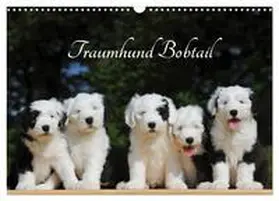 Starick / CALVENDO |  Traumhund Bobtail (Wandkalender 2026 DIN A3 quer), CALVENDO Monatskalender | Sonstiges |  Sack Fachmedien