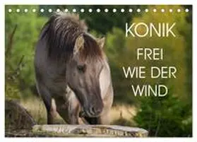 Starick / CALVENDO |  Konik - Frei geboren (Tischkalender 2026 DIN A5 quer), CALVENDO Monatskalender | Sonstiges |  Sack Fachmedien