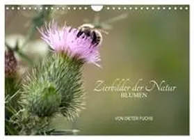 Fuchs / CALVENDO |  Zierbilder der Natur BLUMEN (Wandkalender 2026 DIN A4 quer), CALVENDO Monatskalender | Sonstiges |  Sack Fachmedien