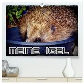 von Löwis of Menar / CALVENDO |  Meine Igel (hochwertiger Premium Wandkalender 2026 DIN A2 quer), Kunstdruck in Hochglanz | Sonstiges |  Sack Fachmedien