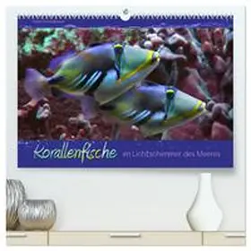 Schmidbauer / CALVENDO |  Korallenfische im Lichtschimmer des Meeres (hochwertiger Premium Wandkalender 2026 DIN A2 quer), Kunstdruck in Hochglanz | Sonstiges |  Sack Fachmedien