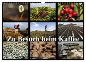 Weber / CALVENDO |  Zu Besuch beim Kaffee (Wandkalender 2026 DIN A3 quer), CALVENDO Monatskalender | Sonstiges |  Sack Fachmedien
