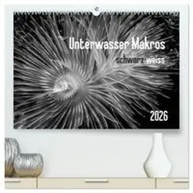 Weber-Gebert / CALVENDO |  Unterwasser Makros - schwarz weiss 2026 (hochwertiger Premium Wandkalender 2026 DIN A2 quer), Kunstdruck in Hochglanz | Sonstiges |  Sack Fachmedien