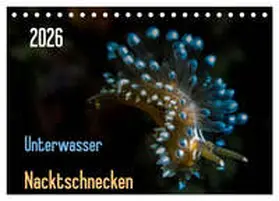 Weber-Gebert / CALVENDO |  Unterwasser - Nacktschnecken 2026 (Tischkalender 2026 DIN A5 quer), CALVENDO Monatskalender | Sonstiges |  Sack Fachmedien