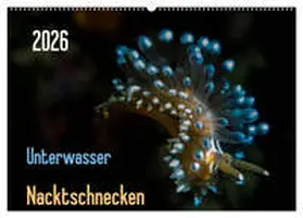 Weber-Gebert / CALVENDO |  Unterwasser - Nacktschnecken 2026 (Wandkalender 2026 DIN A2 quer), CALVENDO Monatskalender | Sonstiges |  Sack Fachmedien