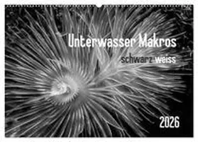 Weber-Gebert / CALVENDO |  Unterwasser Makros - schwarz weiss 2026 (Wandkalender 2026 DIN A2 quer), CALVENDO Monatskalender | Sonstiges |  Sack Fachmedien