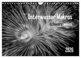 Weber-Gebert / CALVENDO |  Unterwasser Makros - schwarz weiss 2026 (Wandkalender 2026 DIN A4 quer), CALVENDO Monatskalender | Sonstiges |  Sack Fachmedien