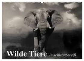 CALVENDO / Stanzer |  Wilde Tiere in schwarz-weiß (Wandkalender 2026 DIN A2 quer), CALVENDO Monatskalender | Sonstiges |  Sack Fachmedien