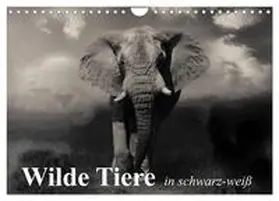 Stanzer / CALVENDO |  Wilde Tiere in schwarz-weiß (Wandkalender 2026 DIN A4 quer), CALVENDO Monatskalender | Sonstiges |  Sack Fachmedien