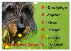 G. / CALVENDO |  Liebenswerte Clowns (Wandkalender 2026 DIN A4 quer), CALVENDO Monatskalender | Sonstiges |  Sack Fachmedien