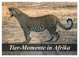 Janssen / CALVENDO |  Tier-Momente in Afrika (Wandkalender 2026 DIN A2 quer), CALVENDO Monatskalender | Sonstiges |  Sack Fachmedien
