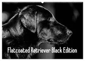 Müller / CALVENDO |  Flatcoated Retriever Black Edition (Wandkalender 2026 DIN A2 quer), CALVENDO Monatskalender | Sonstiges |  Sack Fachmedien