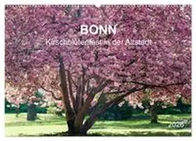 Reif / CALVENDO |  Bonn - Kirschblütenfest in der Altstadt (Wandkalender 2026 DIN A2 quer), CALVENDO Monatskalender | Sonstiges |  Sack Fachmedien